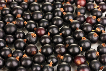 Fresh black currant close up