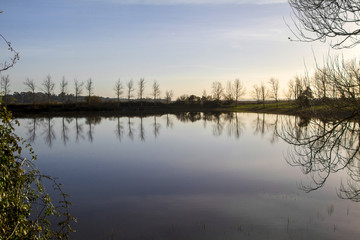 Fototapeta na wymiar tranquil lake with bare leafless trees