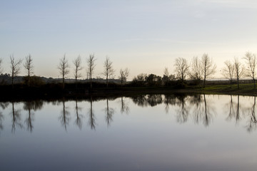 tranquil lake with bare leafless trees