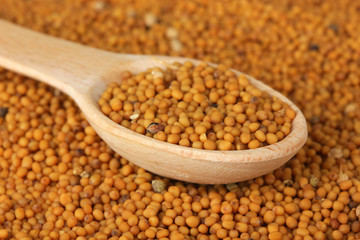 Mustard seeds, close up