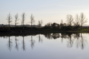 tranquil lake with bare leafless trees