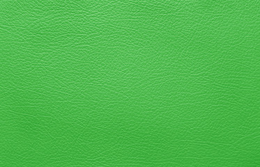 green leather background - 54611833
