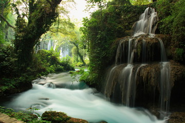 stream and waterfall landscape with big tree on it