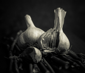 Garlic and dry sticks in black&white © Alexandr Yermakov