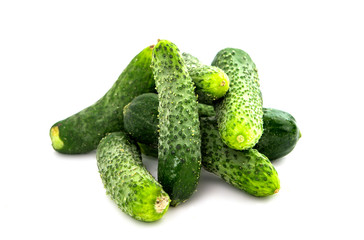 cucumbers for pickling