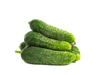 cucumbers for pickling