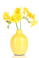 Beautiful bouquet of freesia in yellow vase isolated on white