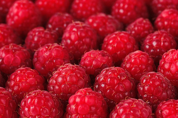 Ripe sweet raspberries, close up