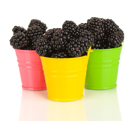Sweet blackberry in colorful pails isolated on white