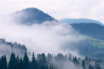 Fog in mountain