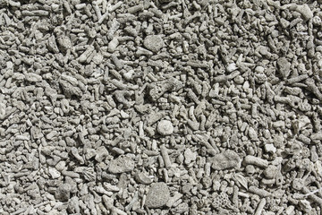 Bleached coral