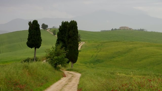 Toskana Zypressen mit Weg vid 06.AVI