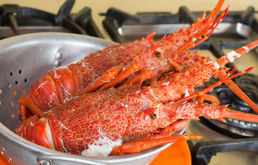 Cook Crayfish