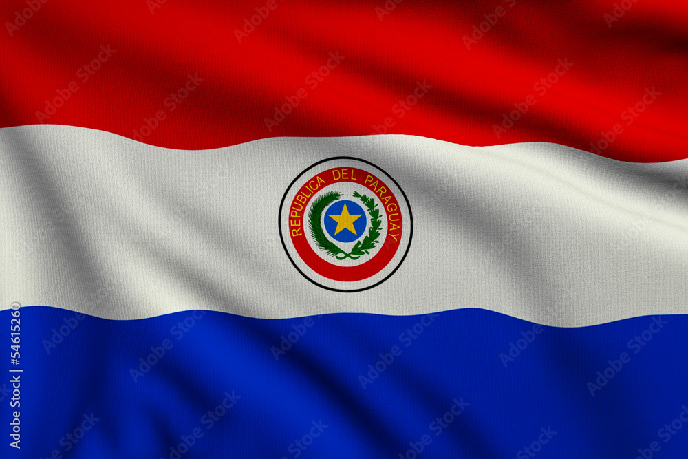 Wall mural flag of paraguay