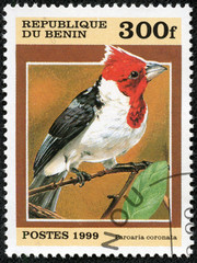stamp printed by Benin, shows bird