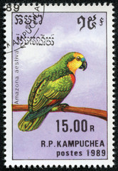 stamp printed in Cambodia shows Amazona aestiva