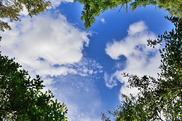 初夏の青空と雲と新緑