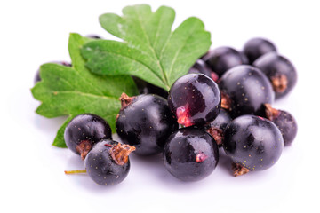 Fresh ripe blackcurrants isolated