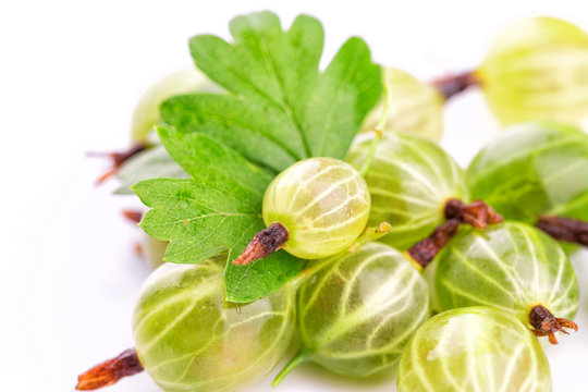 Gooseberries with leaves on white background