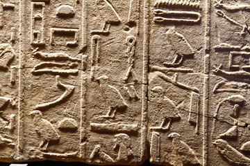 Ancient Egyptian Hieroglyphic Cuneiform writing