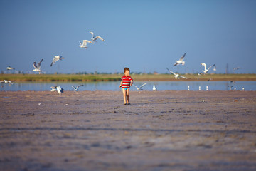 Fototapeta na wymiar happy kid running firth lake with seagulls