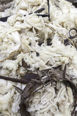 Wool and wool instruments