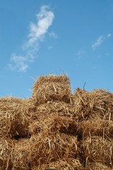 Plakat straw stack and blue sky