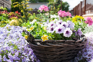 Flower basket