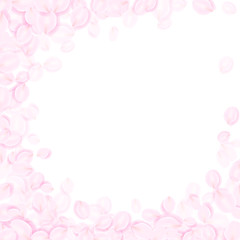 Fototapeta na wymiar 桜色の花びらフレーム