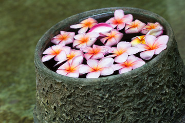 Spa Concept