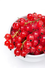 bowl of red currant isolated on white, top view