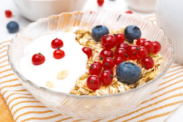 muesli with berries and yogurt for breakfast, close-up