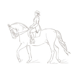 Fototapeta na wymiar Dressage horse, vector sketch