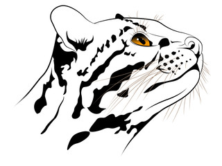 The abstract image of a ocelot executed in the form of a tattoo