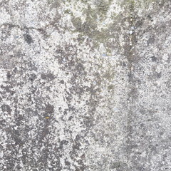 wall texture or background stone