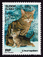 Postage stamp France 1999 European Cat, Pet