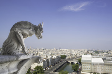 gargoyle - Notre Dame - Paris France