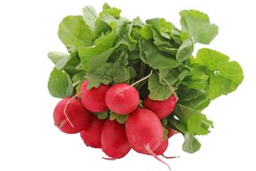 Des radis rouges