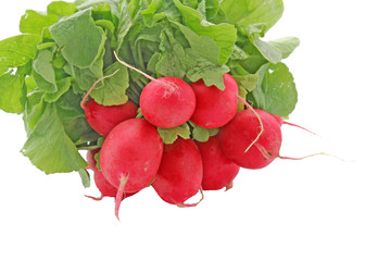 Une bottez de radis