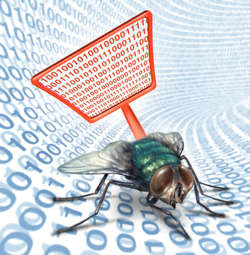 Computer Bug Security