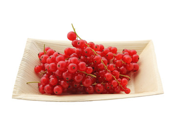 Barquette de groseilles