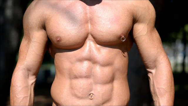 Very muscular male torso, pecs, abs, arm muscles. Vertical pan