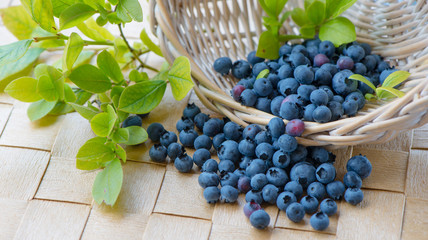 Frische Heidelbeeren
