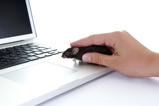Real PC Mouse