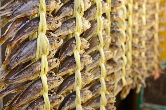 Dried Fish At Gwangjang Market In Seoul