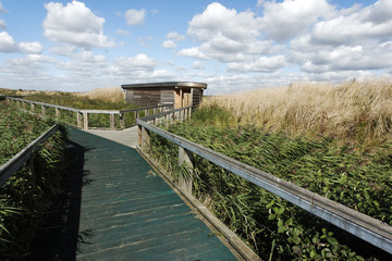 Rainham Marshes RSPB Reserve