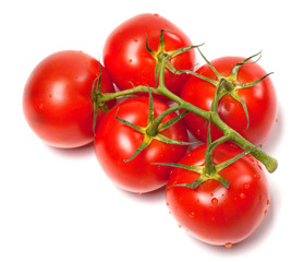 Bunch of fresh tomatoes with water drops. Top view.