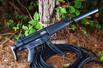 Silenced rifle