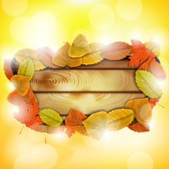 Wooden board with autumn colorful leaves