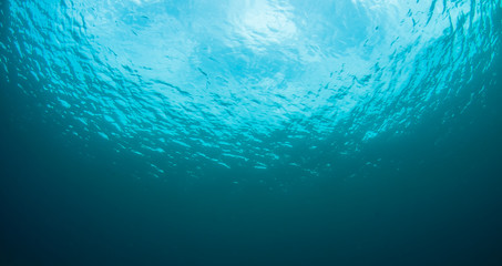 What Underwater landscape looks like.